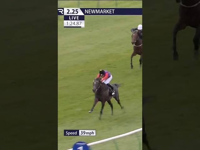 Thumbnail for Post ID: xbgrg76_xoo