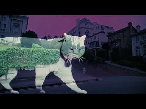 Eye of the Cat. 1969 opening scene