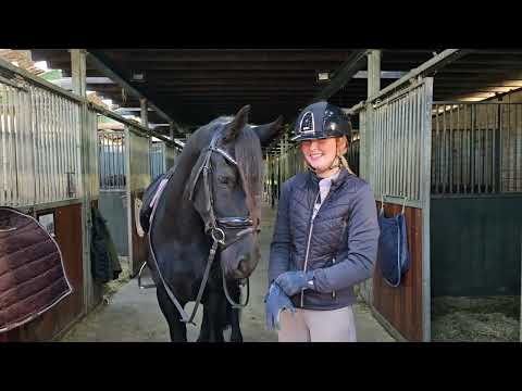 Stal Okkema's Tjitske - Alwin x Tsjalke - Mare - 2022 - 1.62m