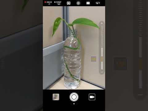 Huawei P10 Plus Camera Sucks