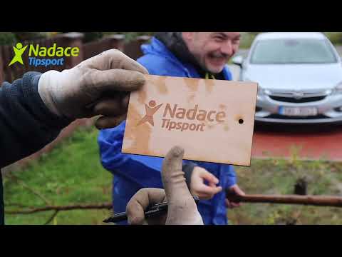 Náhled pro video reference