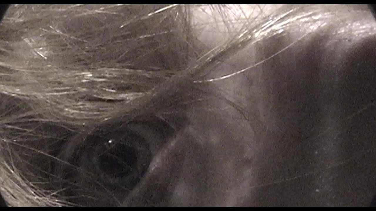 UK Trailer
