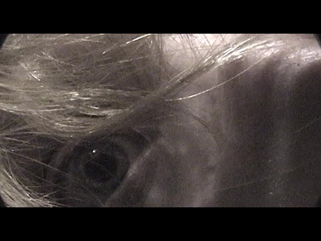 UK Trailer