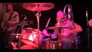 You Drive Me Insane - Taylor Hawkins and the Coattail Riders