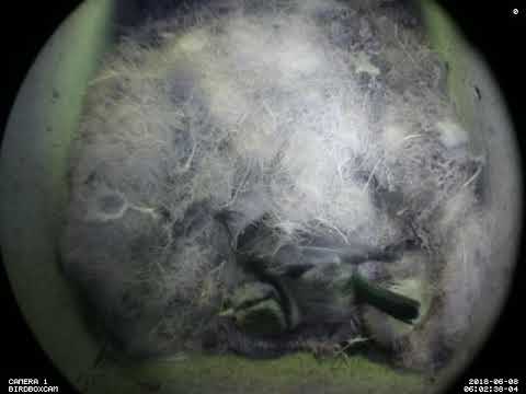 8 Jun (day 419) 6:02am