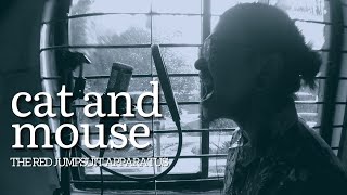 The Red Jumpsuit Apparatus - Cat and Mouse (Cover)