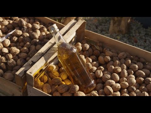 BIAIS N°38 :  L’OLI DE NOSE (Piget films et France Télévisions)