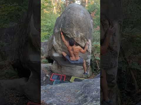 La Gaule (assis) 7c/(+). cuvier ouest. Fontainebleau