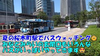 夏の桜木町駅でバスウォッチング🤗みなとみらいの玄関口もいろんなバスがいっぱいやってきます🤩
