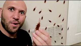 10 PRANKS FOR GRADUATION PARTIES! - HOW TO PRANK