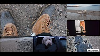 Come of a Beach Walk.. Lets Have a Yarn...