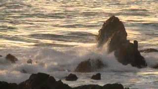 Shark attack victim speaks