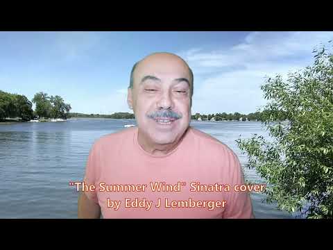 The Summer Wind - Sinatra Cover