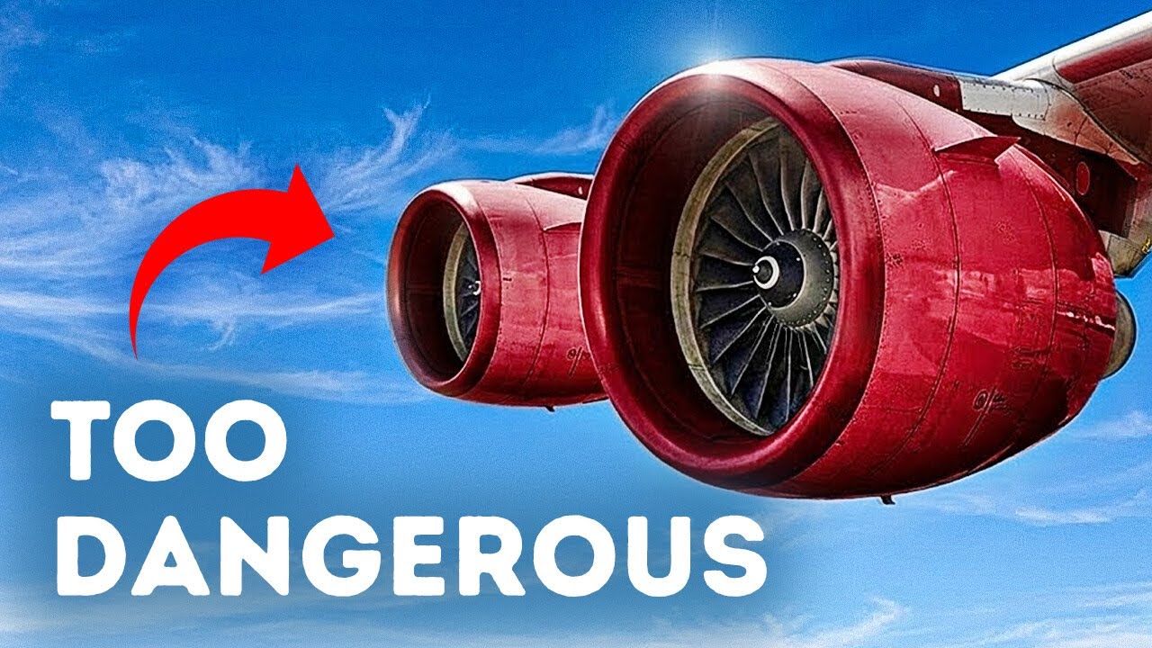 The Real Reason Planes Don't Have Bird Barriers