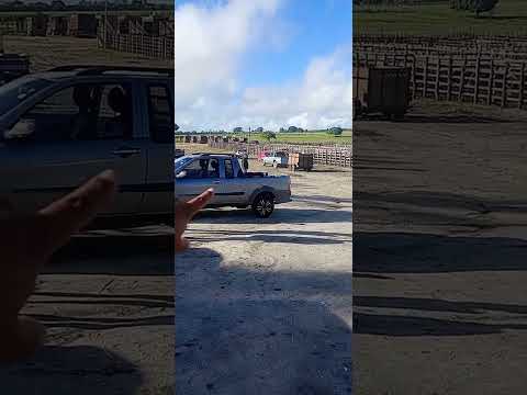 Feira do gado em Lajedo Pernambuco com Milton CDs 