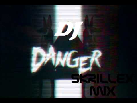 DJ Danger Skrillex Damain Marley Mix 5