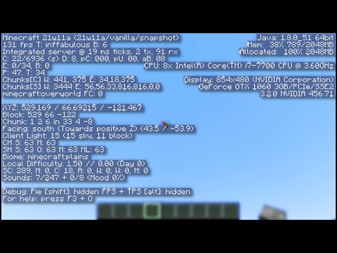 Unbelievable Secret Feature in Minecraft! F3 Screen Revealed