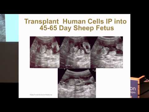 SENS5 - Cellular Therapy for Intestinal Regeneration