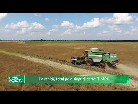 La rapiță, totul pe o singură carte TIMPUL! 20 10 2025