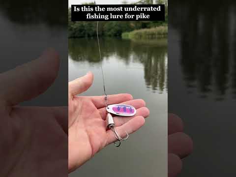 Most underrated lure the spinner! #pikefishing #pike #fishing