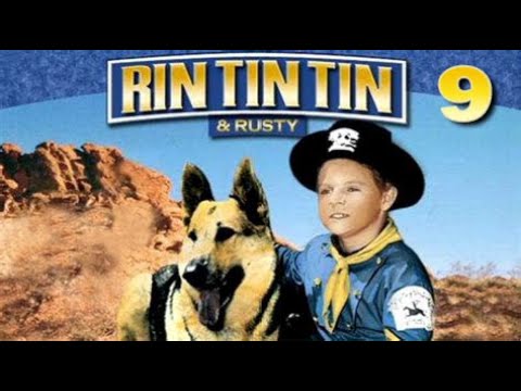 Las aventuras de Rin Tin Tin | 9. El cargamento de oro (CASTELLANO)