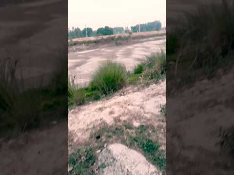 आने से उसके आये बहार (II) HD - जीने की राह - जितेन्द्र, तनुजा - मोहम्मद रफ़ी - Old Is Gold