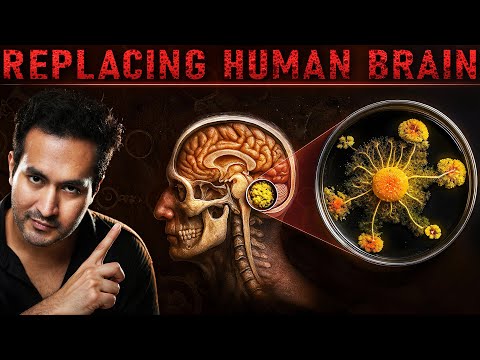 Can This Alien Fungus Replace Human Brain?