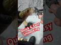 Video Thumbnail for Why I Always Carry Pocket Knife When Ice Fishing #icefishing #walleye #edc #fishingtips