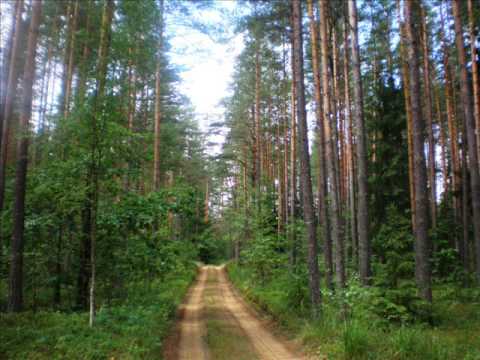 Lithuanian music - Donis ir Rasa Serra - Bite lingo