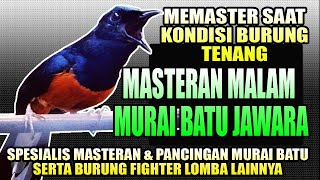 Download lagu MASTERAN MALAM SANG JAWARA MURAI BATU JUARA ( Dengan Jeda ) mp3 Download lagu MASTERAN MALAM SANG JAWARA MURAI BATU JUARA ( Dengan Jeda ) mp3