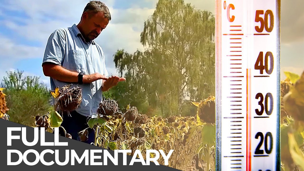 Deadly Disasters: Heatwaves