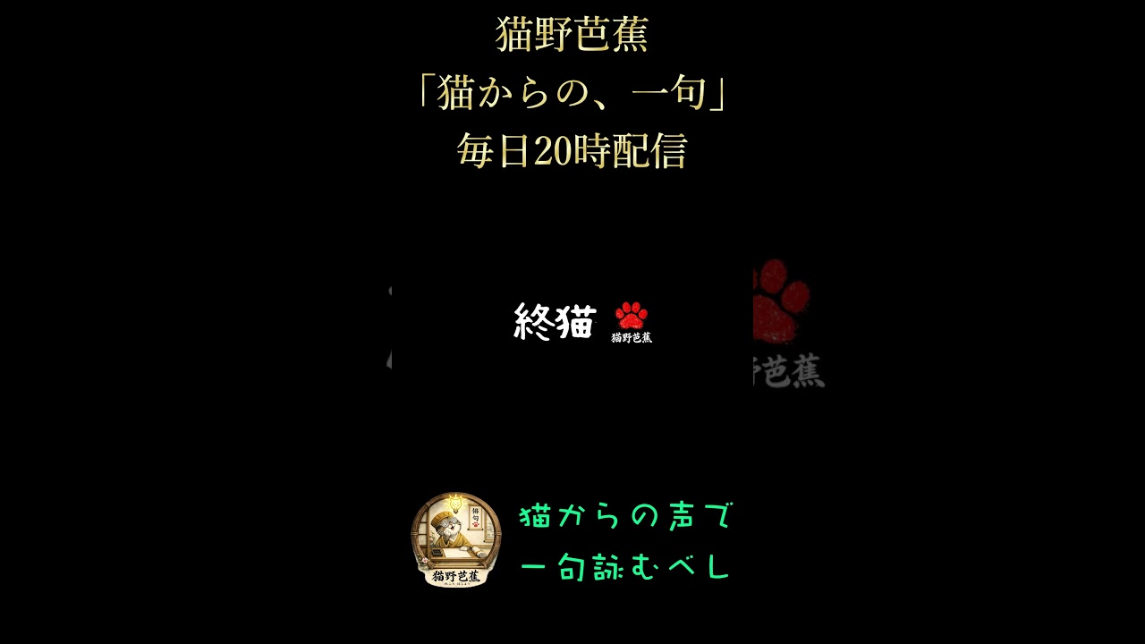 猫からの一句　#【まっしゅさま】#猫野芭蕉 #おれねこ #猫のいる暮らし #猫のいる生活