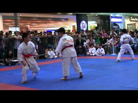 10/23/11 Team Kata Kankudai w/ Bunkai