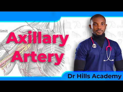 Axillary Artery Anatomy(1/2): Course, Divisions, Relations [Simplified]