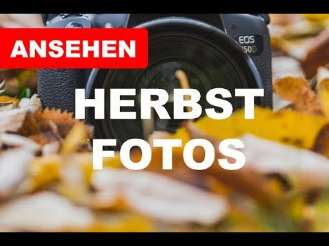 📷 Fotografieren im Herbst 🍁 3 Tipps für Anfänger - Maik Herfurth - Fotografieren lernen
