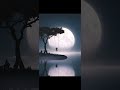 Mary Is The Girl That Leaves You To Rot Loop Mary By Alex G Slowed