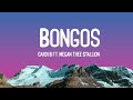 Cardi B - Bongos (Lyrics/Vietsub) ft. Megan Thee Stallion