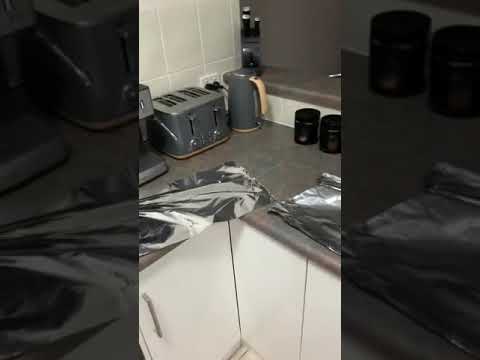 Guy Lays Tin Foil on Kitchen Counter to Stop Cat From Jumping on it - 1107758
