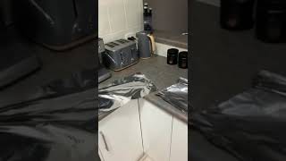 Guy Lays Tin Foil on Kitchen Counter to Stop Cat From Jumping on it - 1107758