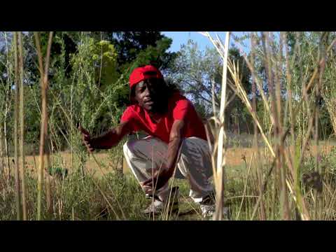 Twizzy808s - This Room