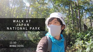 国立公園を歩く　笹ヶ峰夢見平遊歩道　2022年10月1日