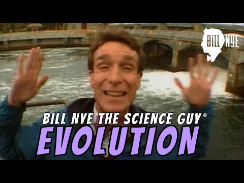 Bill Nye The Science Guy on Evolution