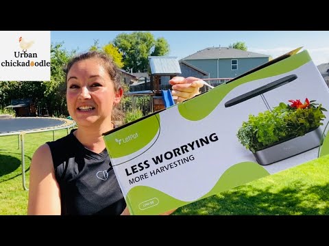 Advanced Hydroponics system with LetPot (Growing Plants Indoors)