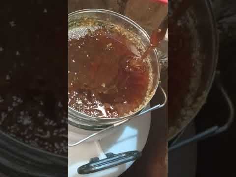 Качаем гречишный мёд