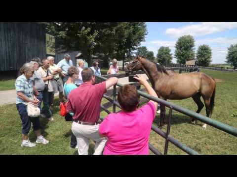 Old Friends Virtual Tour - Game On Dude