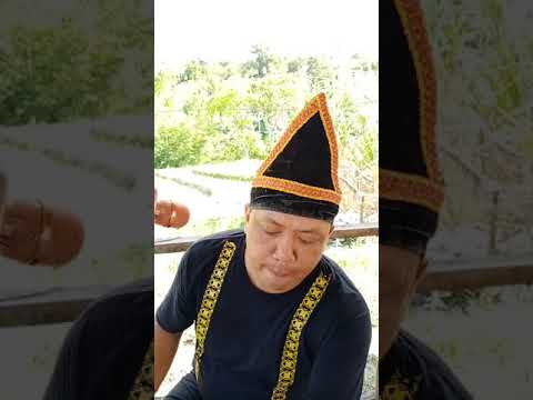 Sompoton Kaamatan cover and Panflute Suling Sinompuru buatn Gerald John Galaku