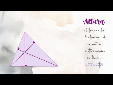 Rectas y puntos notables de triángulos