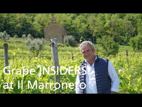 Grape INSIDERS: Il Marroneto Brunello di Montalcino