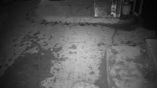 【LIVE】体感型動物園ｉＺｏｏゾウガメ牧場【室内】 live webcam