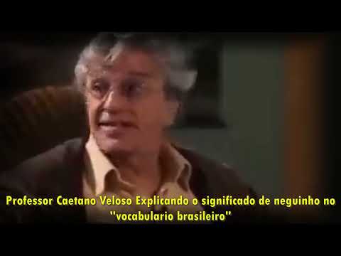 Caetano Veloso explicando o significado de Neguinho SENSACIONAL um Mestre